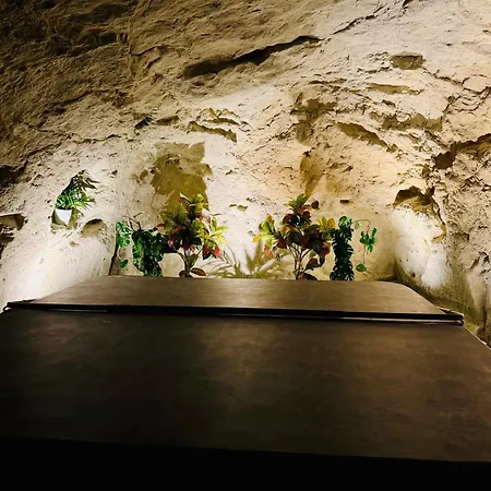 - Petite Maison Proche Du Futuroscope Holiday home Beaumont (Vienne)